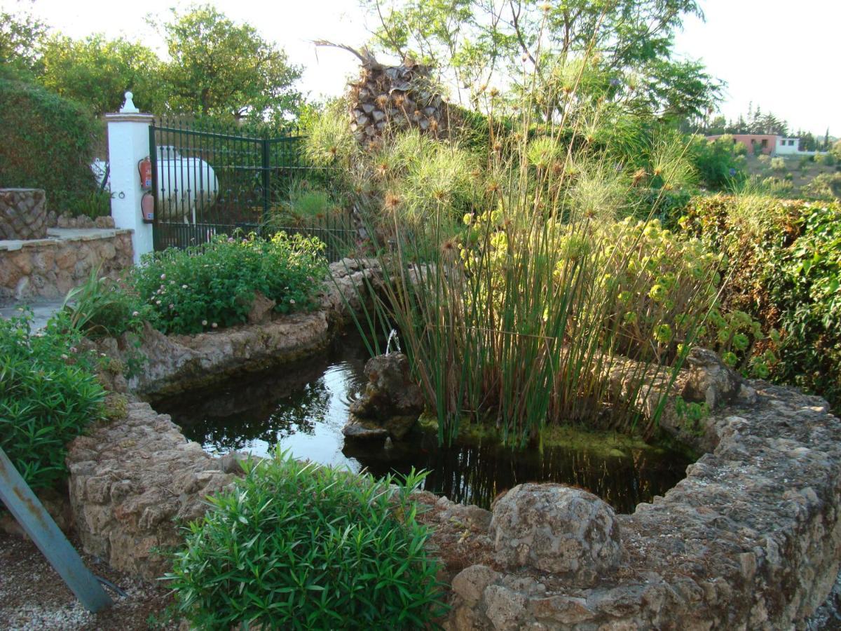 Tu Villa Rural Cortijo Los Cantos 7 Dormitorios Piscina Privada Alhaurín el Grande Extérieur photo